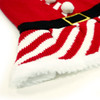 Santa Girl Dog Sweater Dress