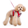 SnapGO Basic Dog Harness - Red