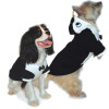 Penguin Dog Sweatshirt / Costume