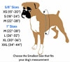 Purple Freedom No-Pull Dog Harness & Optional Leads