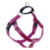 Raspberry Freedom No-Pull Dog Harness & Optional Leads
