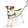 Silver Freedom No-Pull Dog Harness & Optional Leads