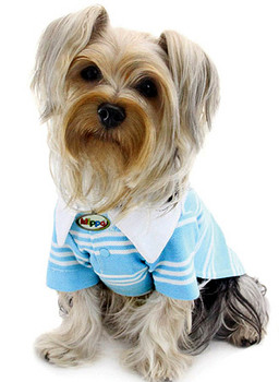 Aqua Blue Polo Dog Shirt