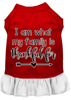 I Am What My Family Is Thankful For Screen Print Dog Dress Red With White