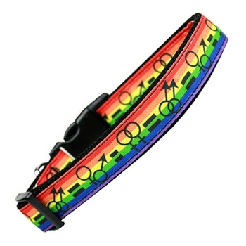 Equality Nylon Dog & Cat Collar