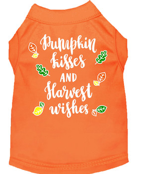 Pumpkin Kisses Screen Print Dog Shirt - Orange