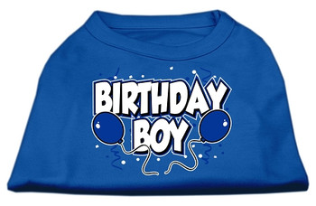 Birthday Boy Screen Print Shirts - Blue