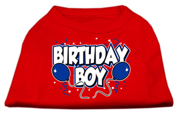 Birthday Boy Screen Print Shirts - Red