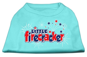 Little Firecracker Screen Print Shirts - Aqua