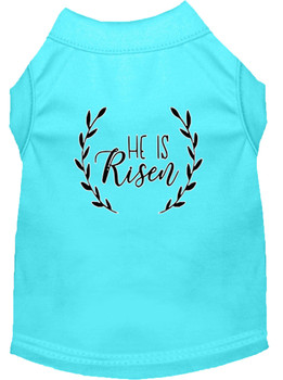 He Is Risen Screen Print Dog Shirt - Aqua