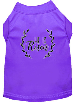 He Is Risen Screen Print Dog Shirt - Purple