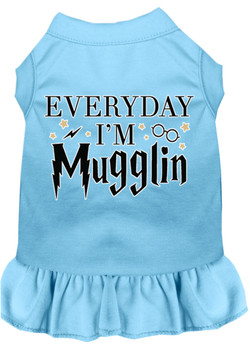 Everyday I'm Mugglin Screen Print Dog Dress - Baby Blue