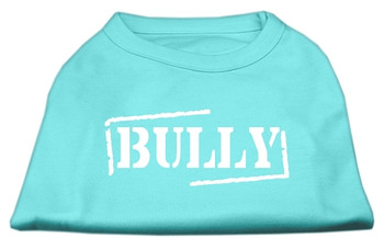 Bully Screen Printed Shirt - Aqua