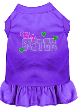 Big Sister Screen Print Dog Dress - Purple