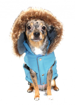 Swiss Alpine Dog Ski Vest Jacket - Blue / Detachable Hood