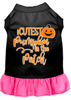 Cutest Pumpkin In The Patch Screen Print Dog Dress - Black With Bright Pink