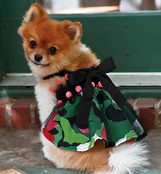 The Sasha Floral with Pom Poms Dog Harness Dress