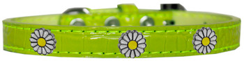 White Daisy Widget Croc Dog Collar - Lime Green