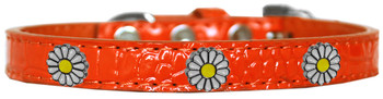 White Daisy Widget Croc Dog Collar - Orange