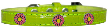 Pink Daisy Widget Croc Dog Collar - Lime Green