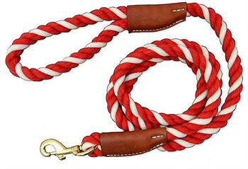 Natural Cotton and Leather Rope Pet Dog Leashes - Red