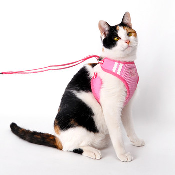 EasyGO Basic Pet Dog Harness & Leash -Pink/Yellow/Blue