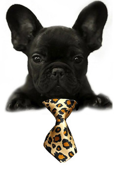 Leopard Small Dog Neck Tie