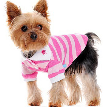 PP Striped Polo Dog Shirt - Pink