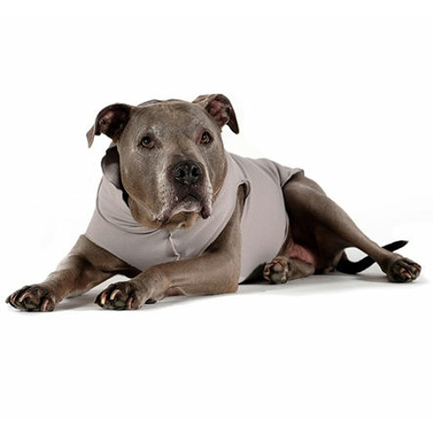 Santa Fe Silver Jersey Dog Wrap