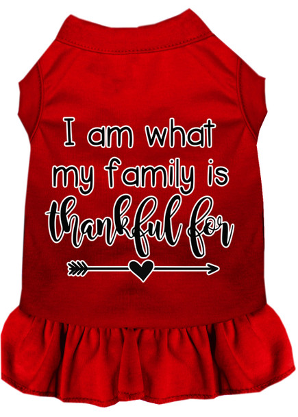 I Am What My Family Is Thankful For Screen Print Dog Dress Red