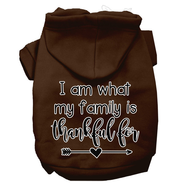 I Am What My Family Is Thankful For Screen Print Dog Hoodie Brown