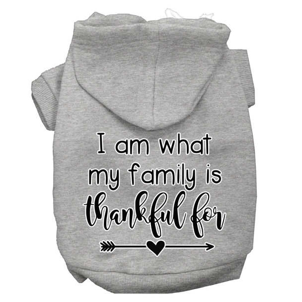 I Am What My Family Is Thankful For Screen Print Dog Hoodie - Grey