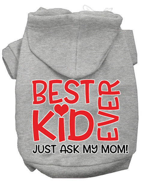 Ask My Mom Screen Print Dog Hoodie - Grey