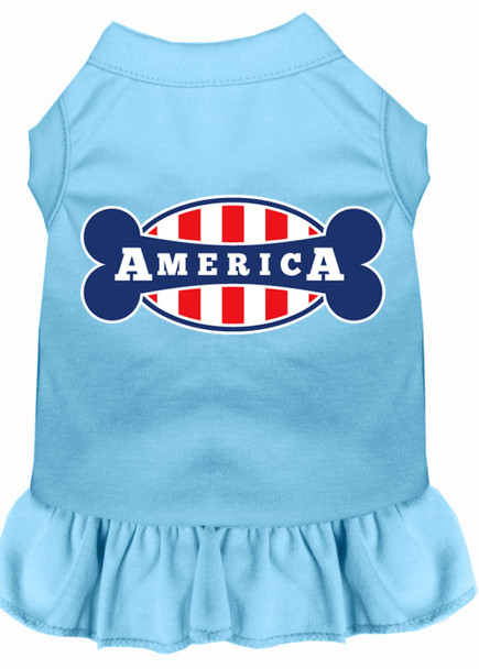 Bonely In America Screen Print Dress - Baby Blue