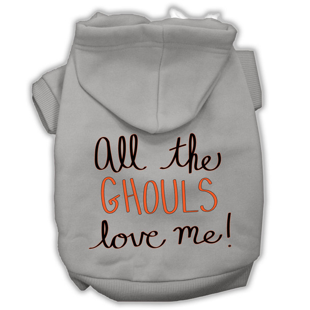 All The Ghouls Screenprint Dog Hoodie - Grey