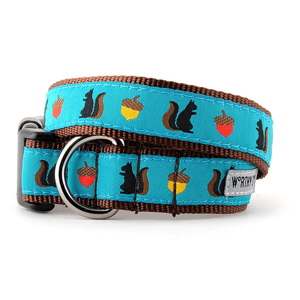 Squirrelly Pet Dog & Cat Collar & Lead Collection