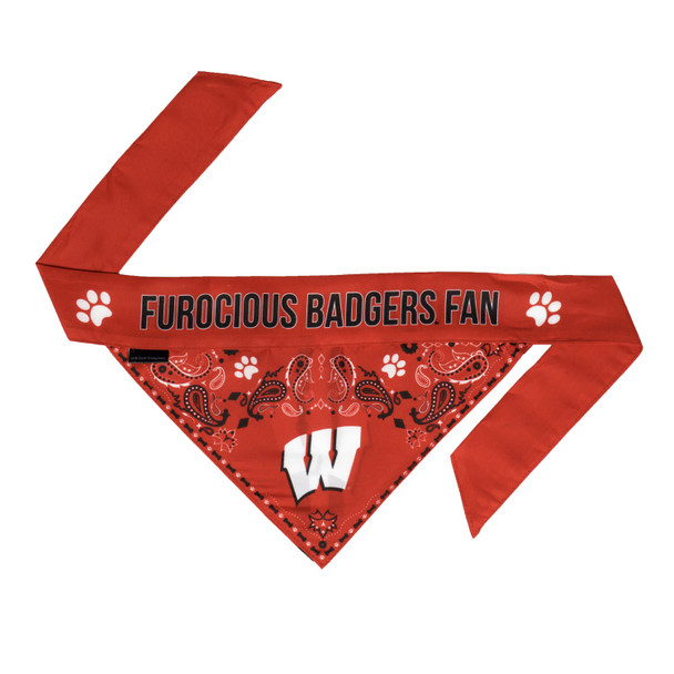 Wisconsin Badgers Pet Reversible Paisley Bandana