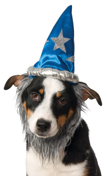 Wizard Pet Hat With Beard