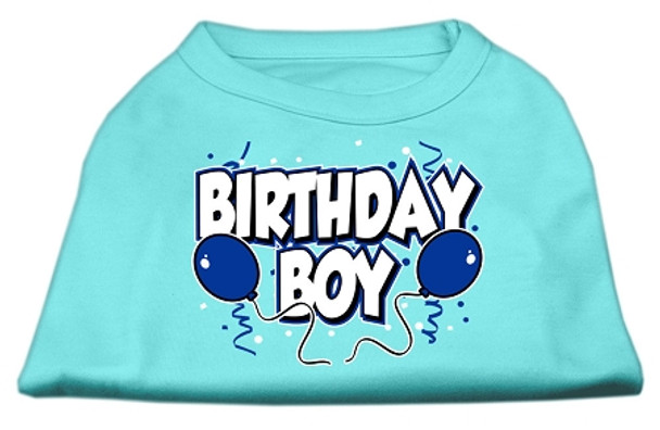 Birthday Boy Screen Print Shirts - Aqua