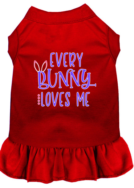 Every Bunny Loves Me Screen Print Dog Dress - Red