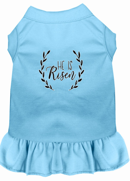 He Is Risen Screen Print Dog Dress - Baby Blue