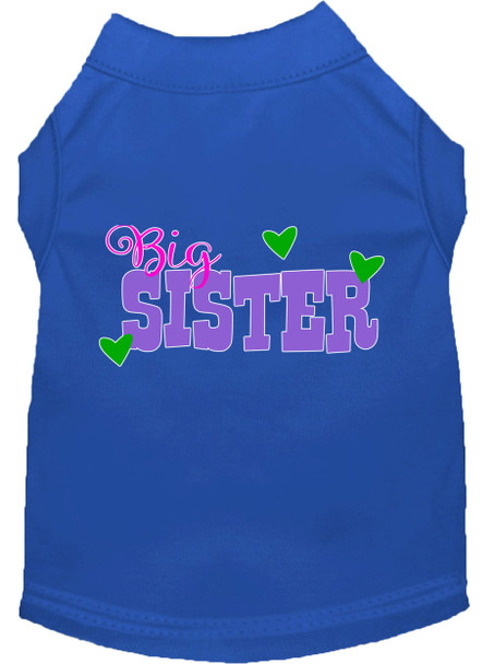 Big Sister Screen Print Dog Shirt - Blue