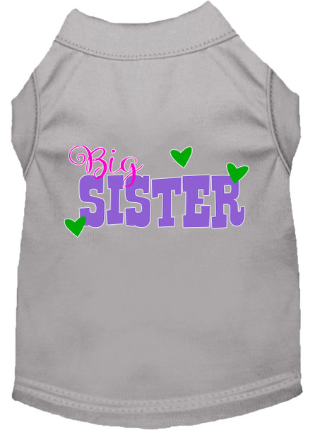 Big Sister Screen Print Dog Shirt - Grey