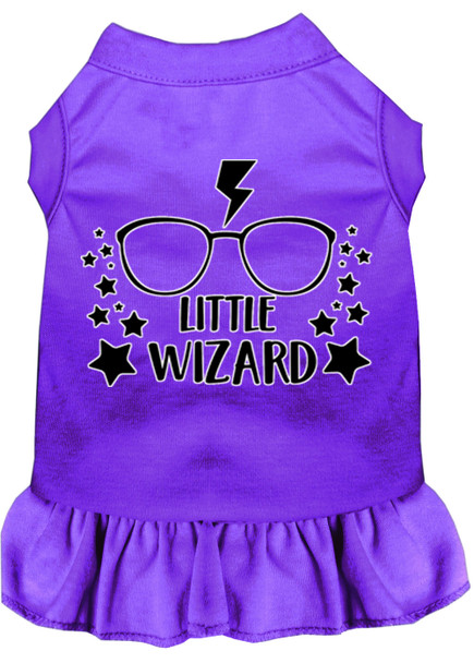 Little Wizard Screen Print Dog Dress - Purple