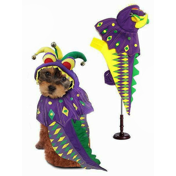 Costume - Mardi Paws Dragon