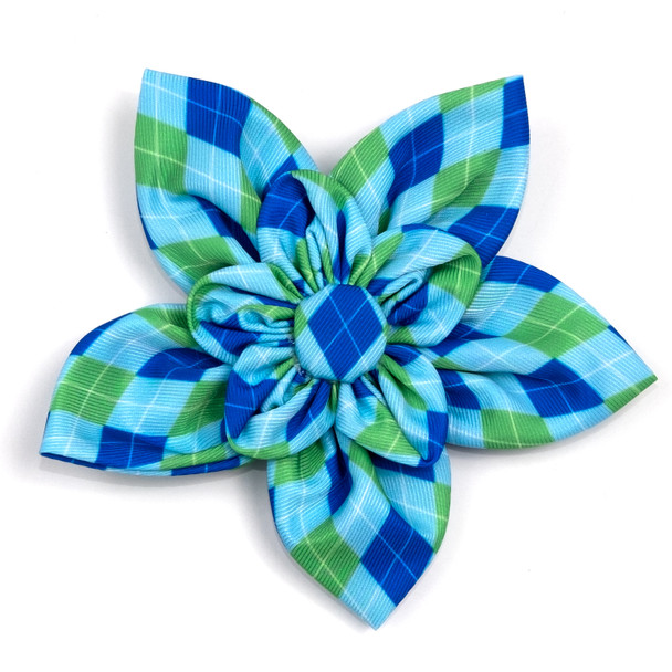 Preppy Argyle Blue Pet Dog Collar Flower