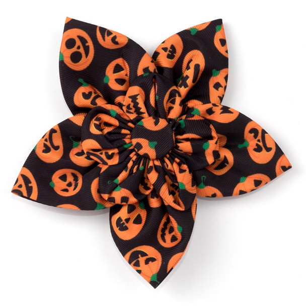 Jack-O-Lantern Pet Dog Collar Flower