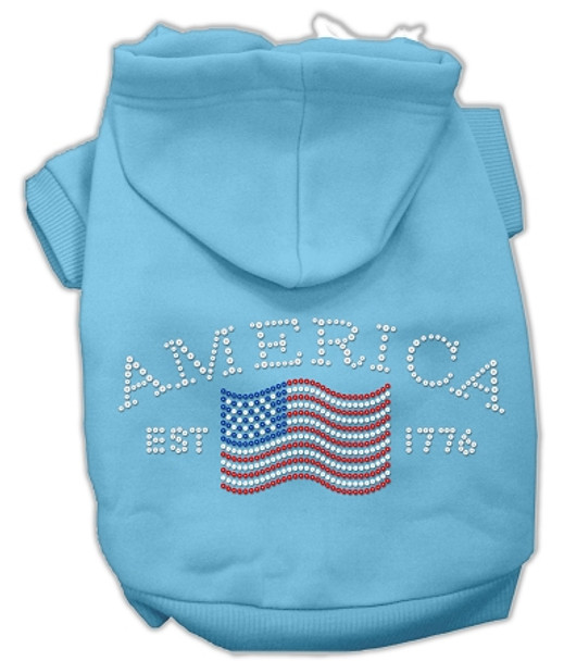 Classic American Hoodies - Baby Blue