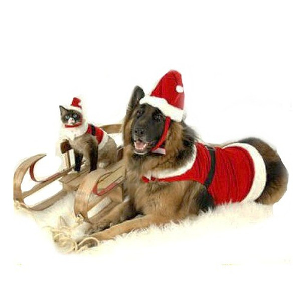 Red Velveteen Dog Santa Suit