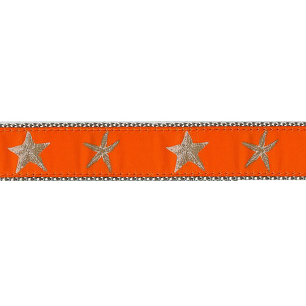 Orange Starfish 3/4 & 1.25 inch Dog Collar, Harness, & Leash